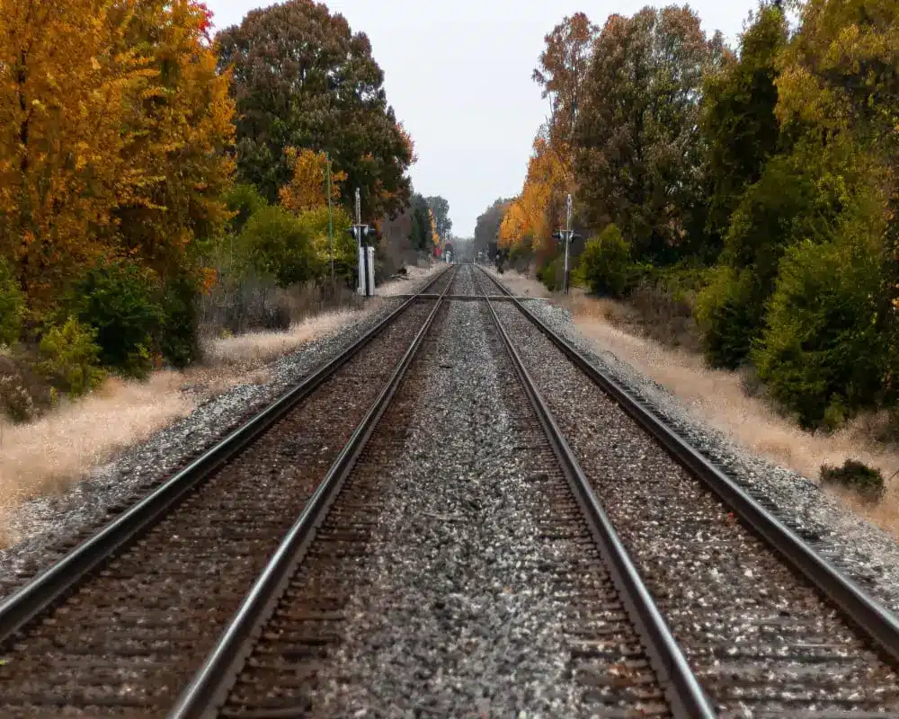 Une voie de train avec des arbres et une route en arrière-plan.